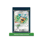 Pokémon TCG: Ogerpon ex Premium Collection