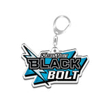 Pokémon TCG Set Keychain