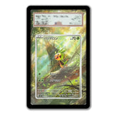 Pokémon Card Art Extension Cases