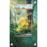 Pokémon Card Art Extension Cases
